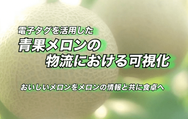 電子タグを活用した青果メロンの物流における可視化（11分）